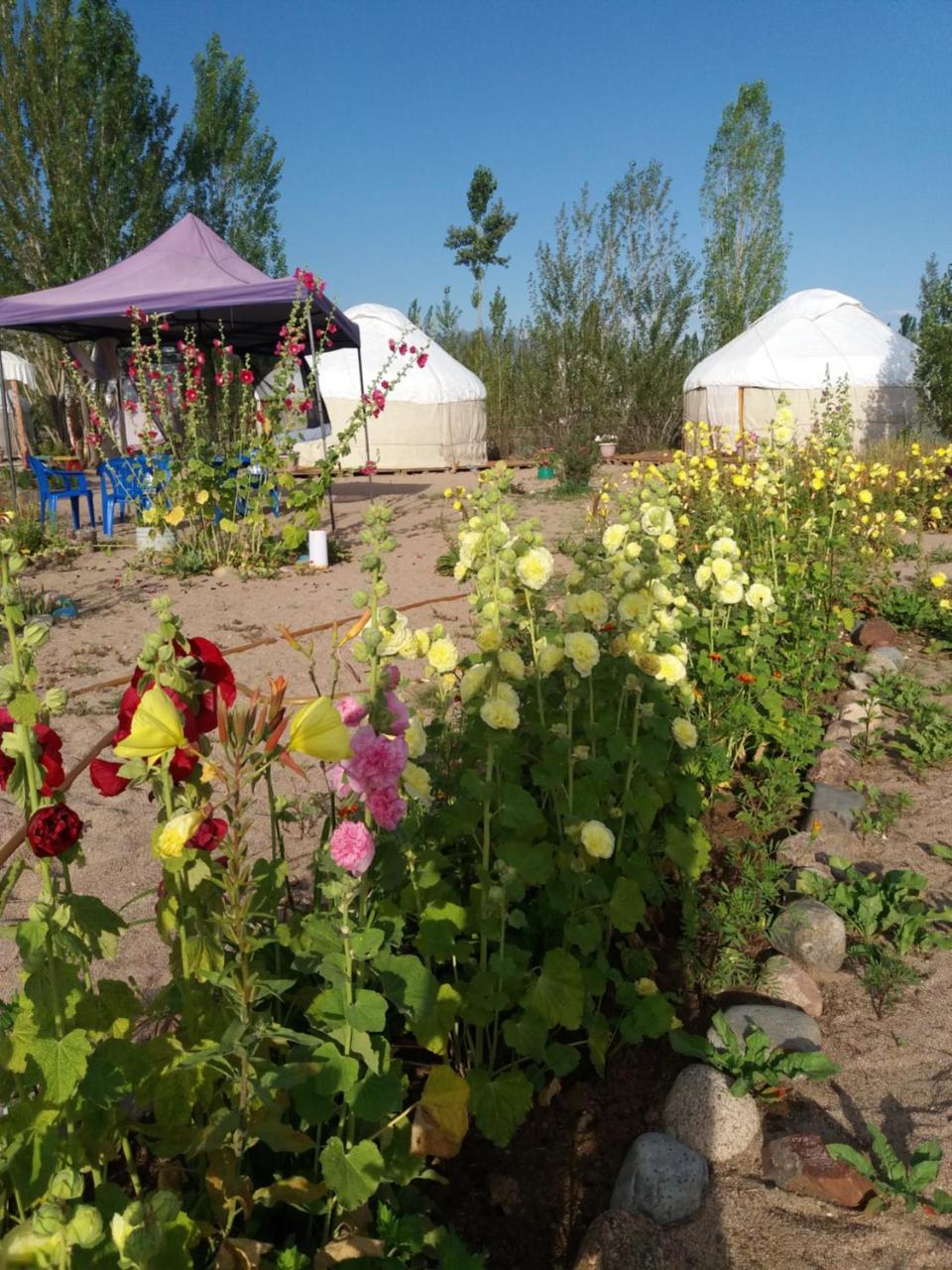 Yurt Camp Tosor Hotel Bagian luar foto